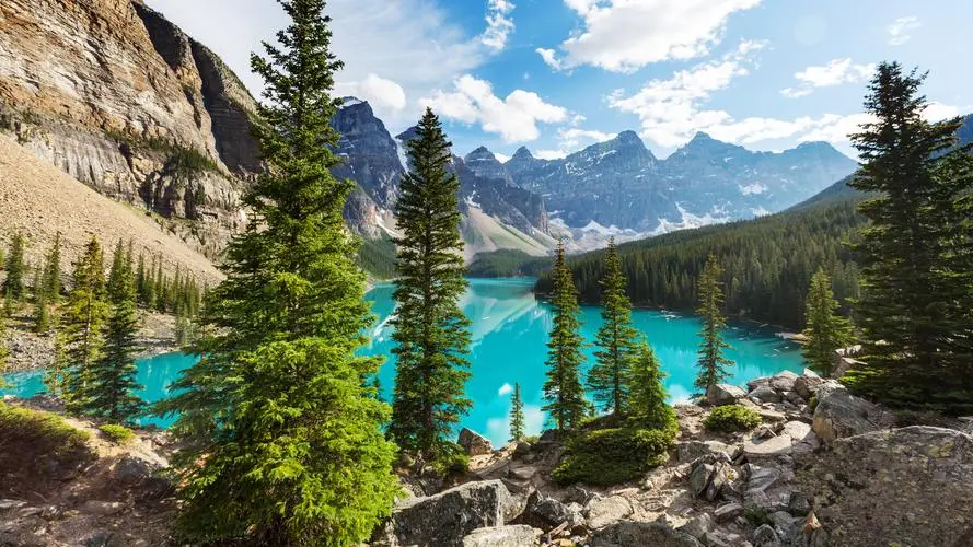 科技智能制造数字化